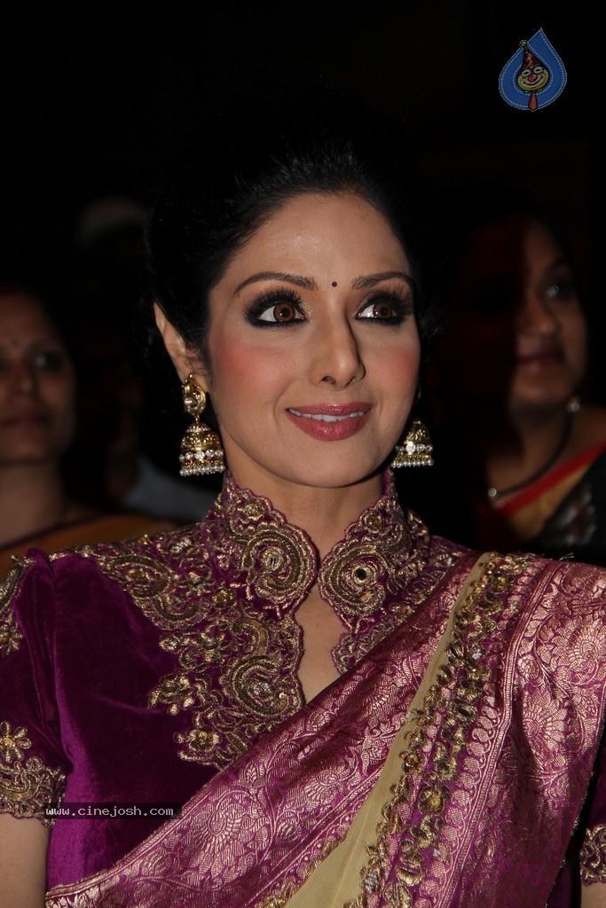 Sridevi Latest Stills - 27 / 71 photos