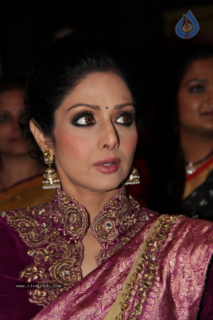 Sridevi Latest Stills - 29 / 71 photos