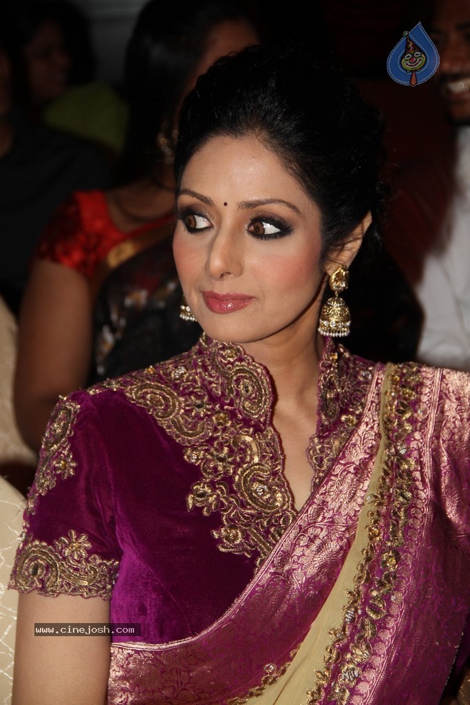 Sridevi Latest Stills - 30 / 71 photos