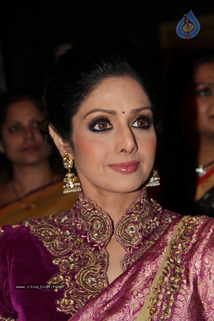 Sridevi Latest Stills - 33 / 71 photos