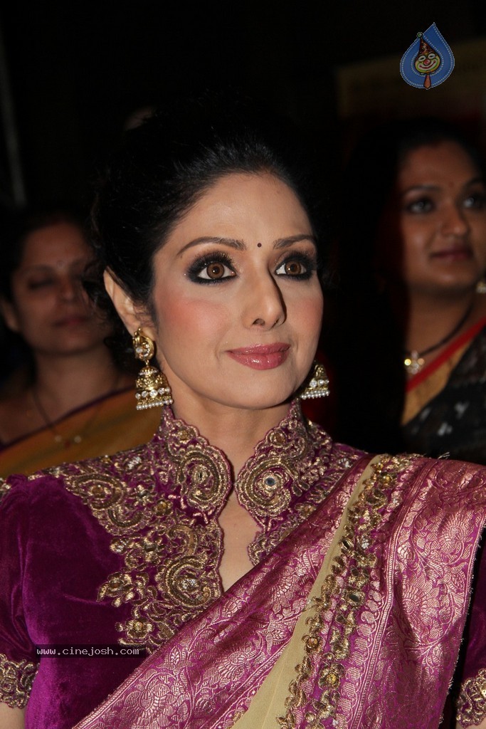 Sridevi Latest Stills - 35 / 71 photos