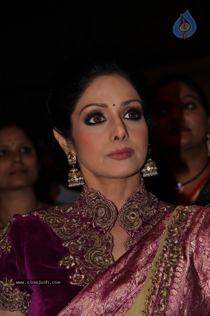 Sridevi Latest Stills - 38 / 71 photos