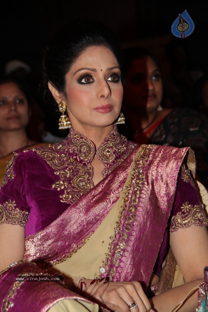 Sridevi Latest Stills - 40 / 71 photos