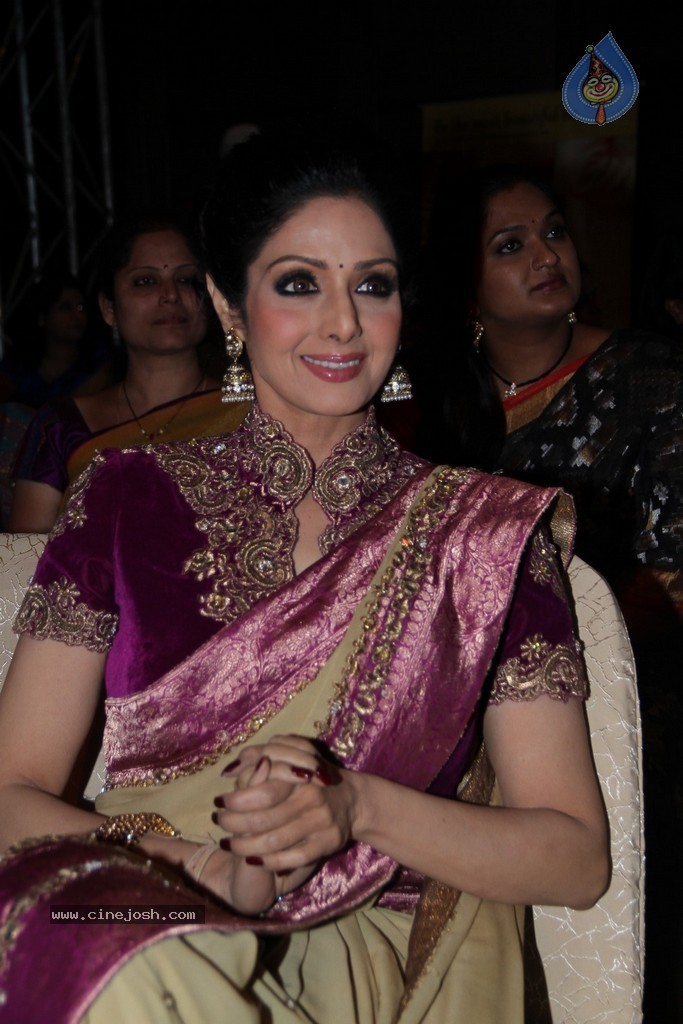 Sridevi Latest Stills - 45 / 71 photos