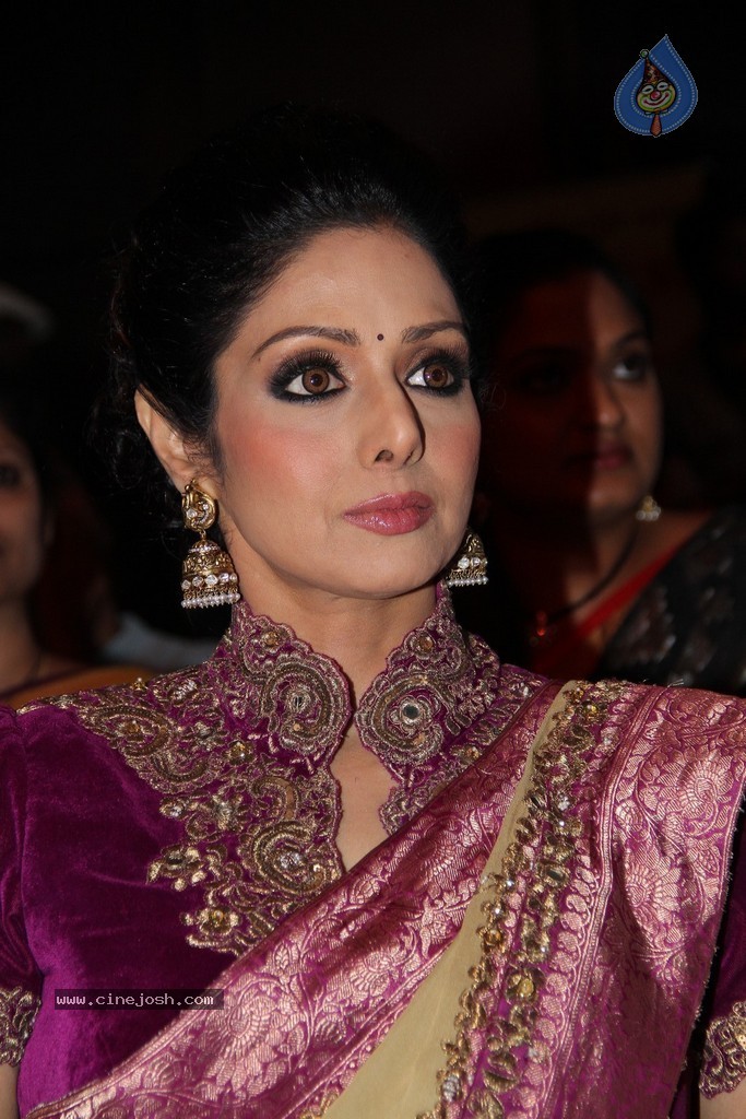 Sridevi Latest Stills - 46 / 71 photos