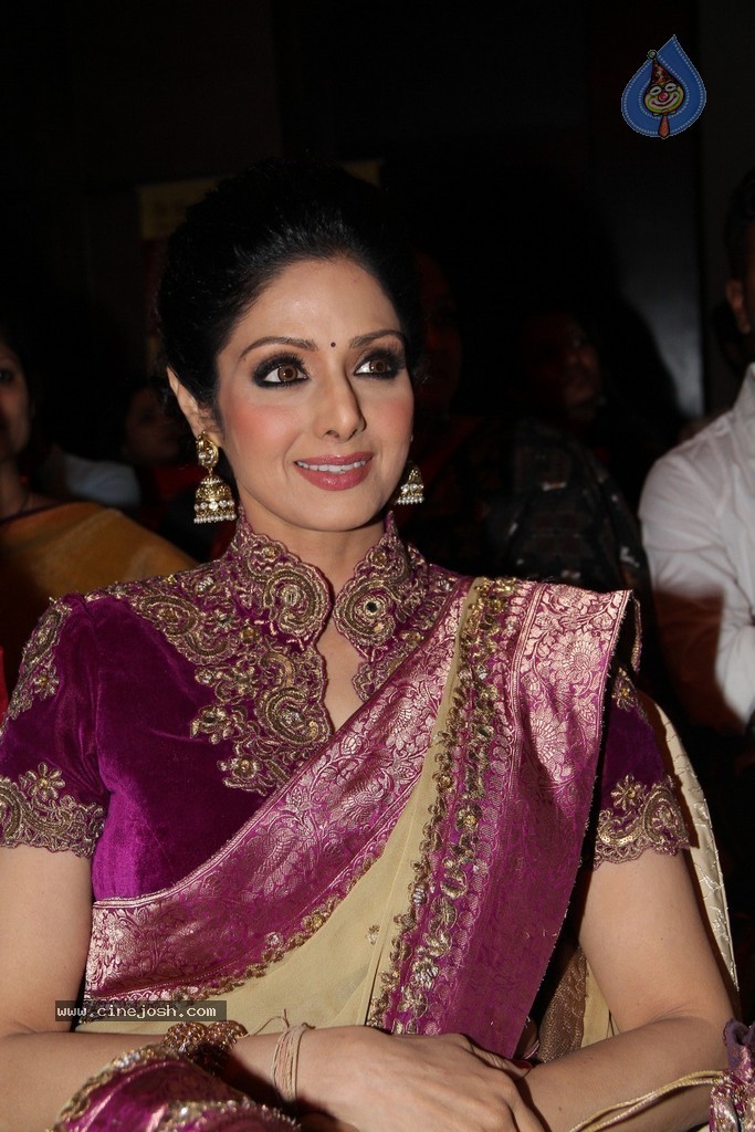 Sridevi Latest Stills - 47 / 71 photos