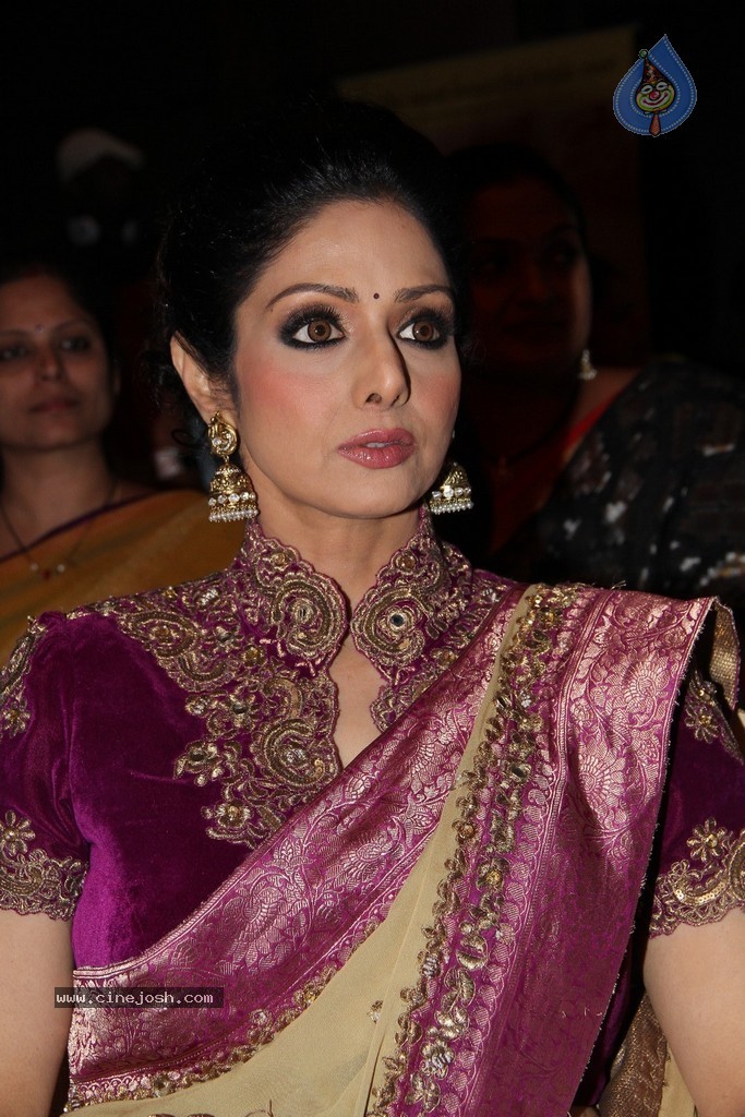 Sridevi Latest Stills - 49 / 71 photos