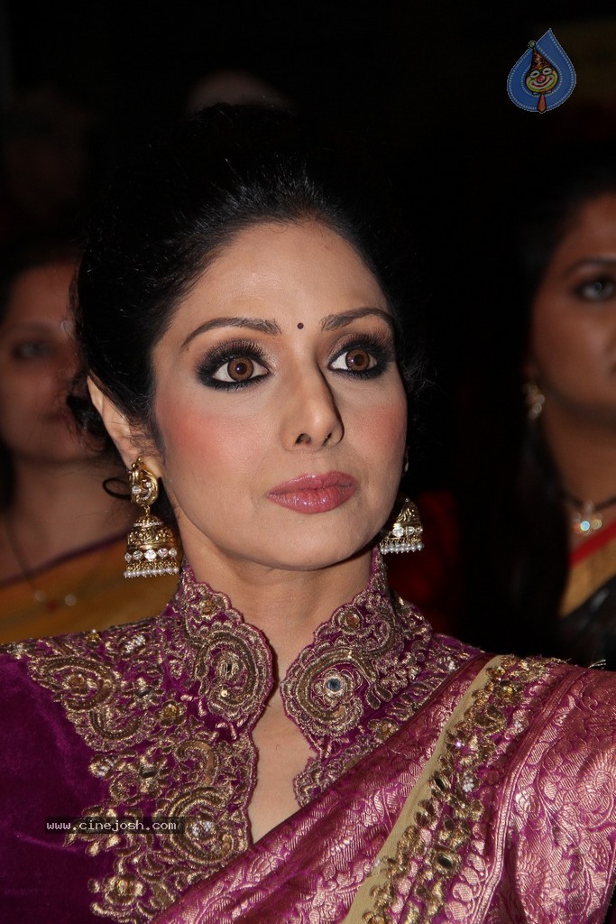 Sridevi Latest Stills - 51 / 71 photos