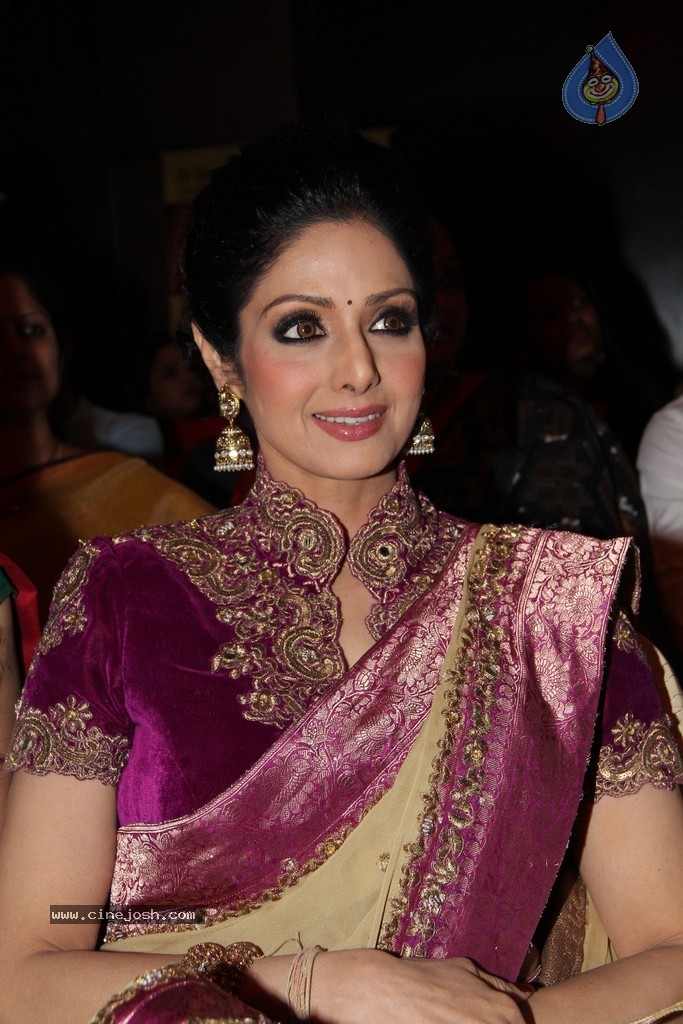 Sridevi Latest Stills - 54 / 71 photos