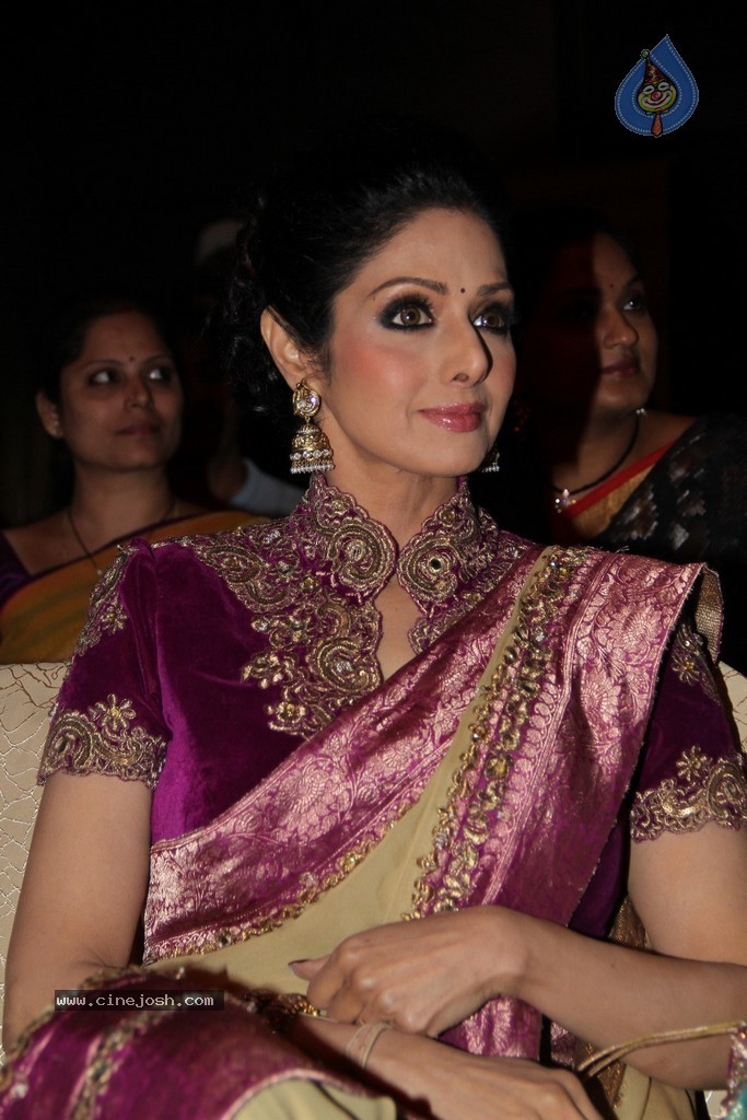 Sridevi Latest Stills - 55 / 71 photos