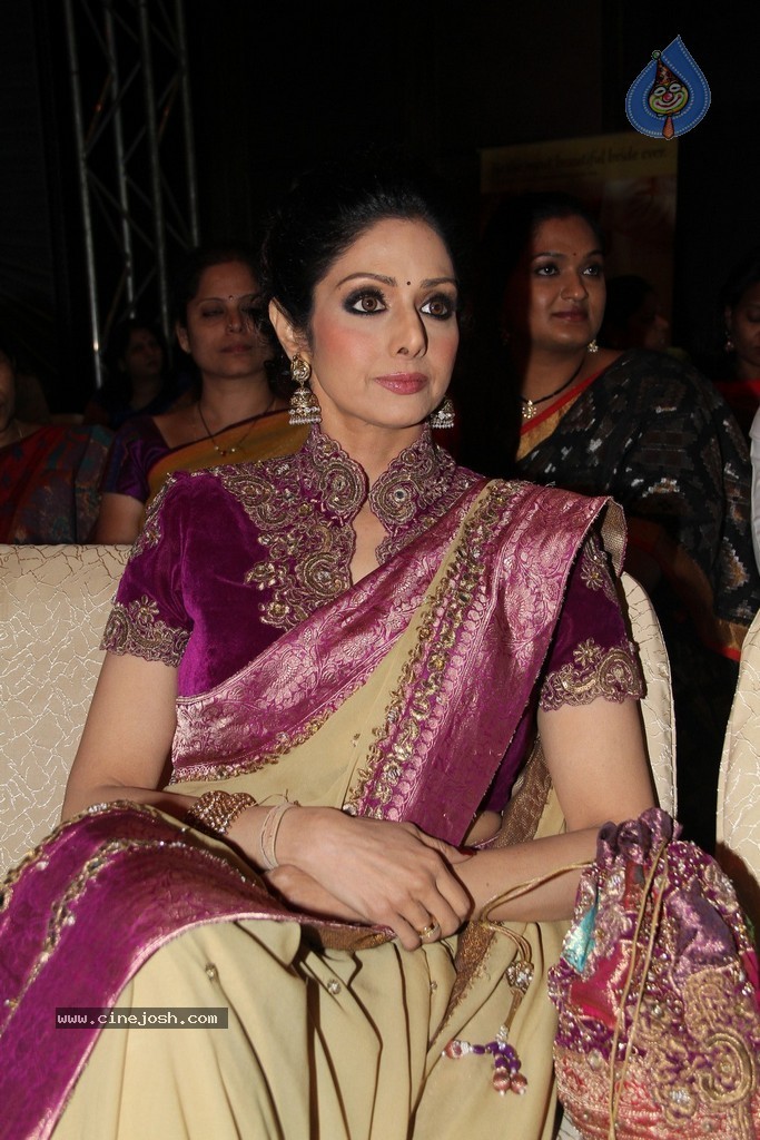 Sridevi Latest Stills - 57 / 71 photos