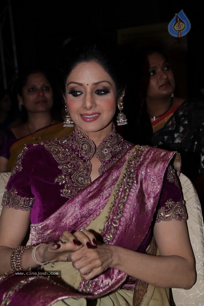 Sridevi Latest Stills - 58 / 71 photos