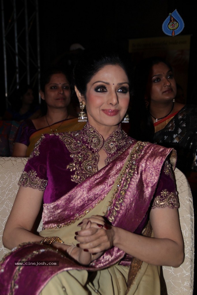 Sridevi Latest Stills - 60 / 71 photos