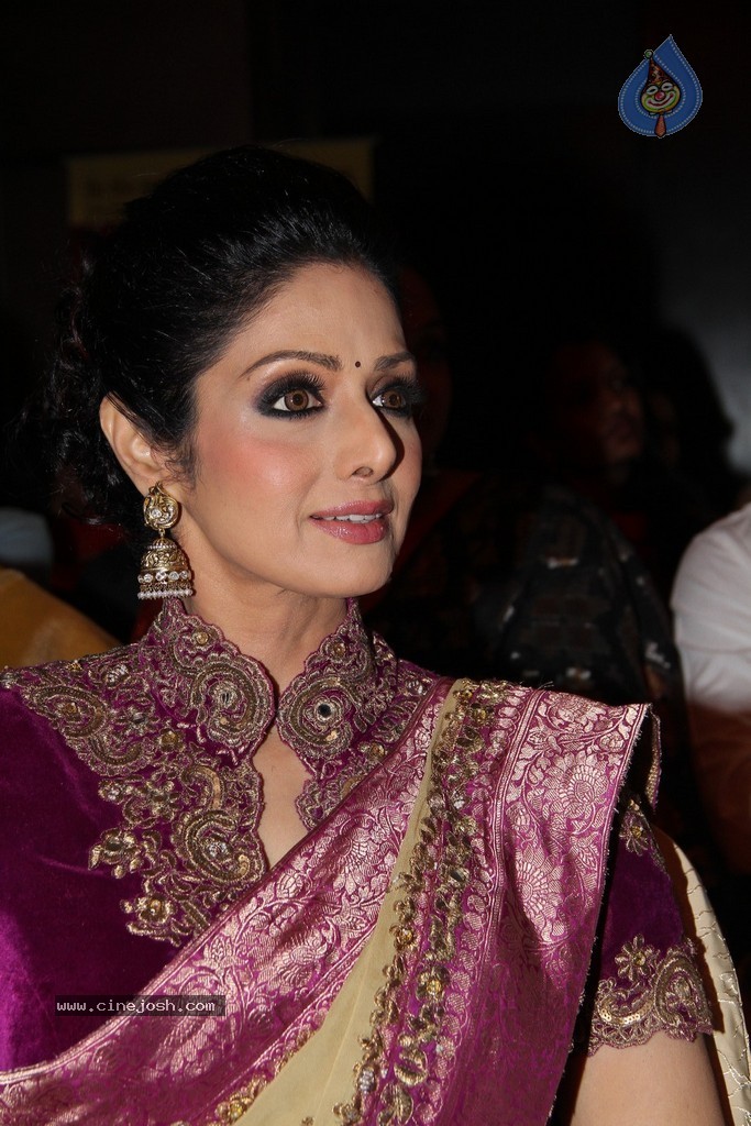 Sridevi Latest Stills - 61 / 71 photos