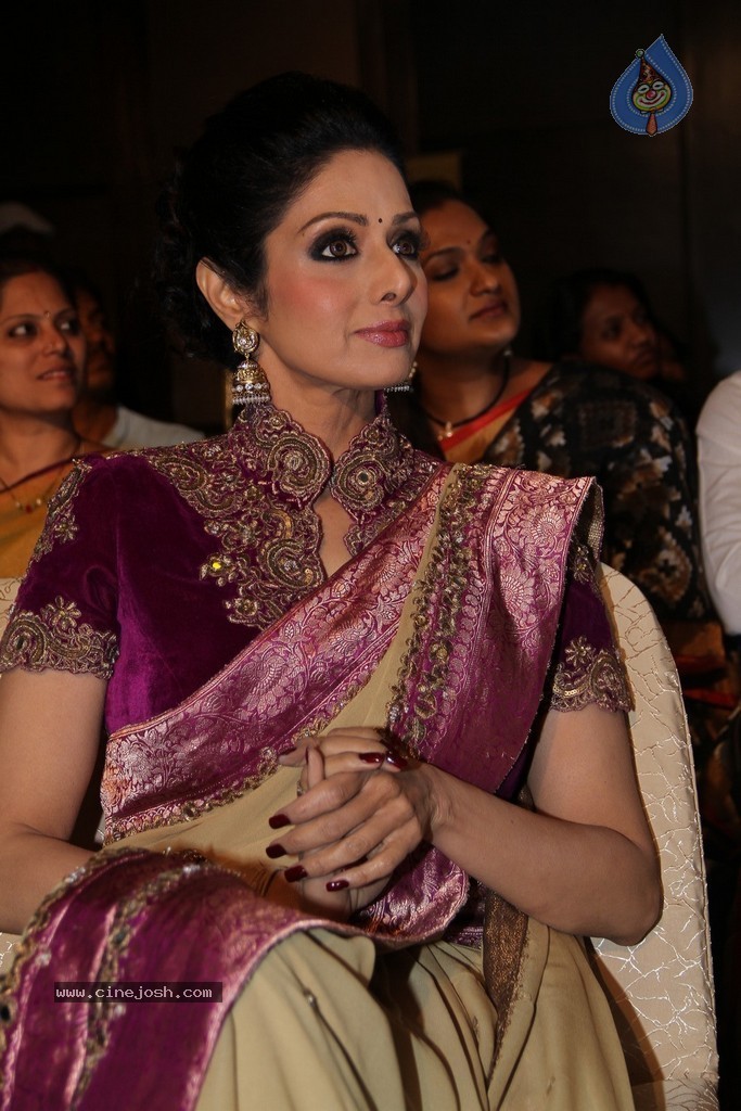 Sridevi Latest Stills - 62 / 71 photos