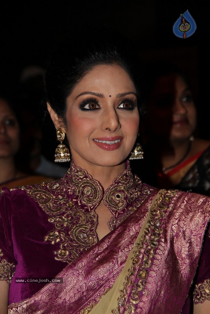 Sridevi Latest Stills - 64 / 71 photos