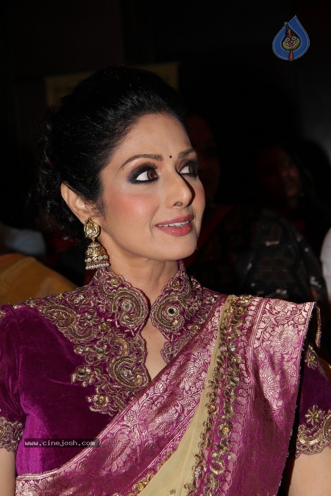 Sridevi Latest Stills - 65 / 71 photos