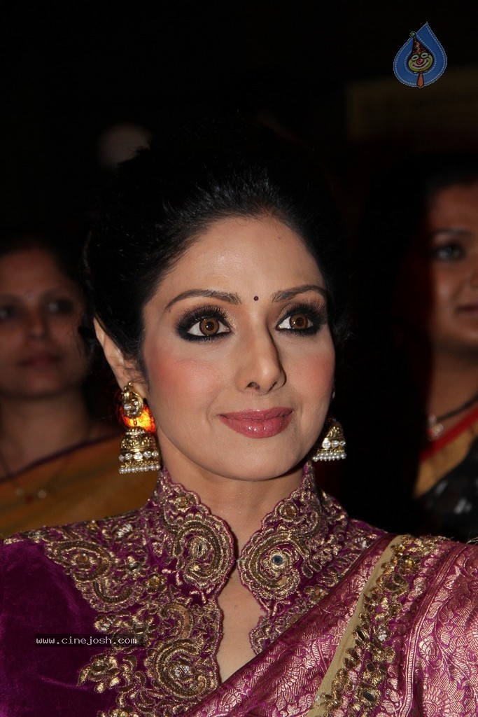 Sridevi Latest Stills - 66 / 71 photos