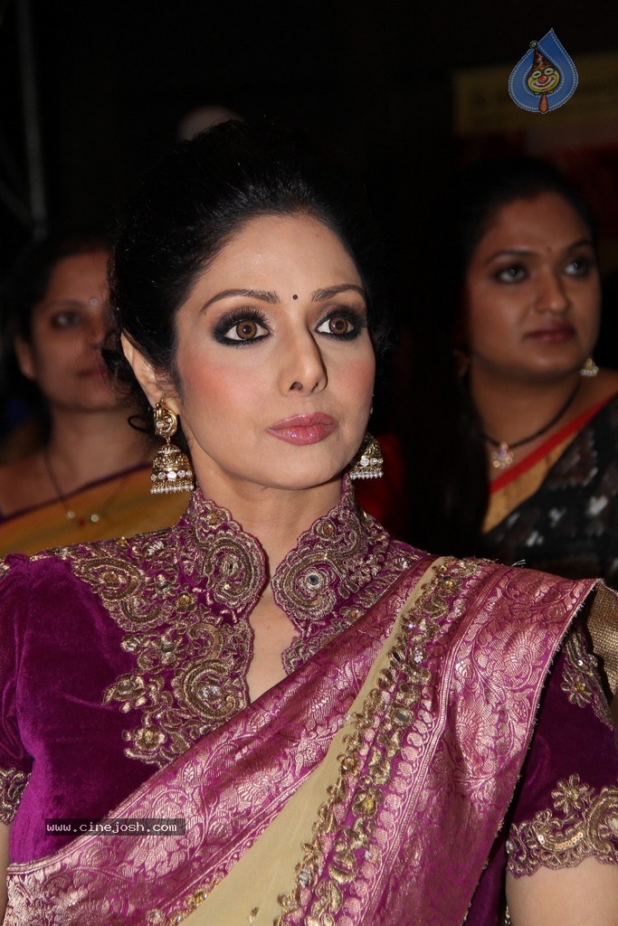 Sridevi Latest Stills - 67 / 71 photos