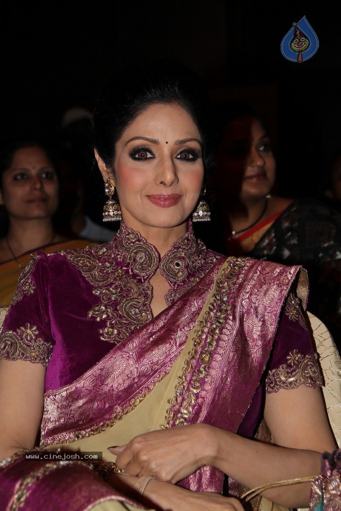 Sridevi Latest Stills - 68 / 71 photos