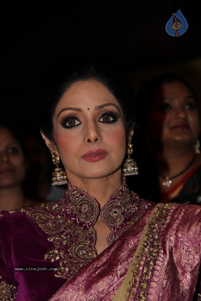 Sridevi Latest Stills - 70 / 71 photos