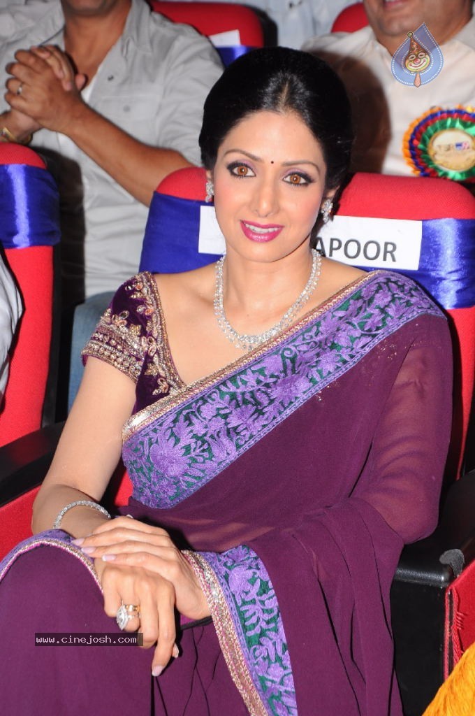 Sridevi New Stills - 6 / 47 photos