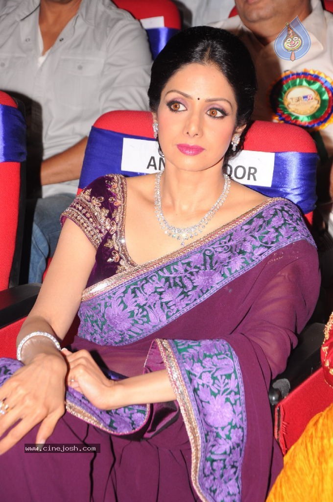 Sridevi New Stills - 7 / 47 photos