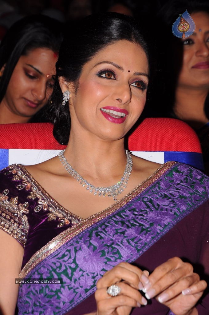 Sridevi New Stills - 8 / 47 photos