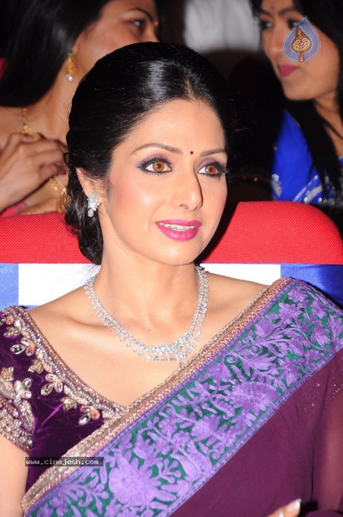 Sridevi New Stills - 23 / 47 photos