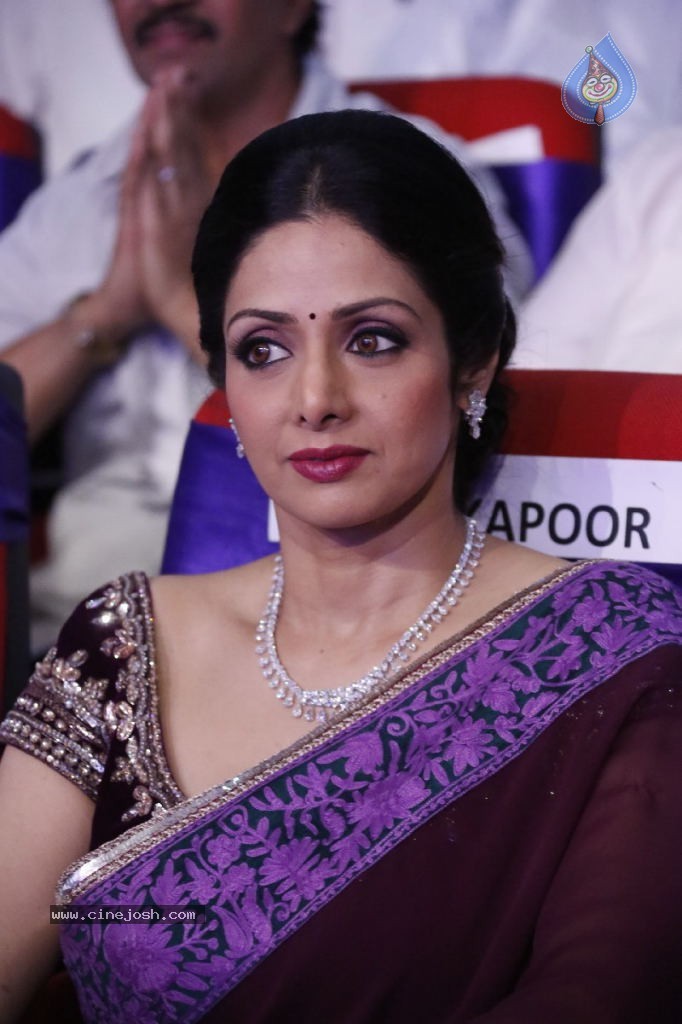 Sridevi New Stills - 38 / 47 photos