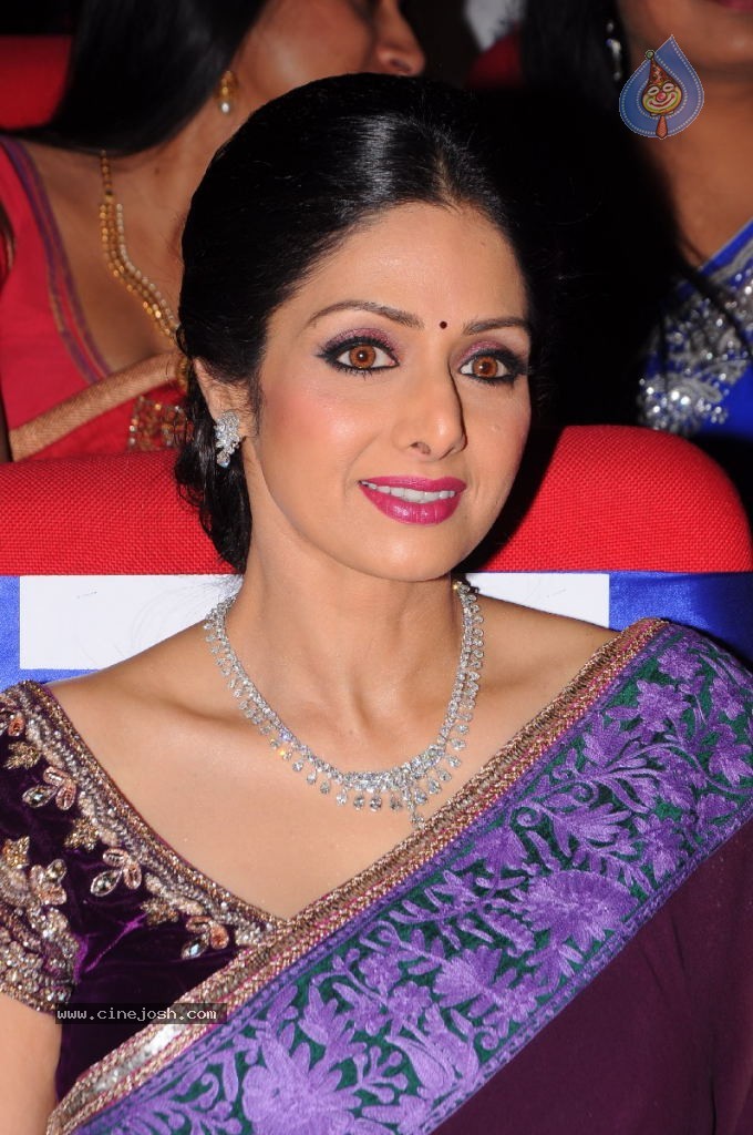 Sridevi New Stills - 42 / 47 photos