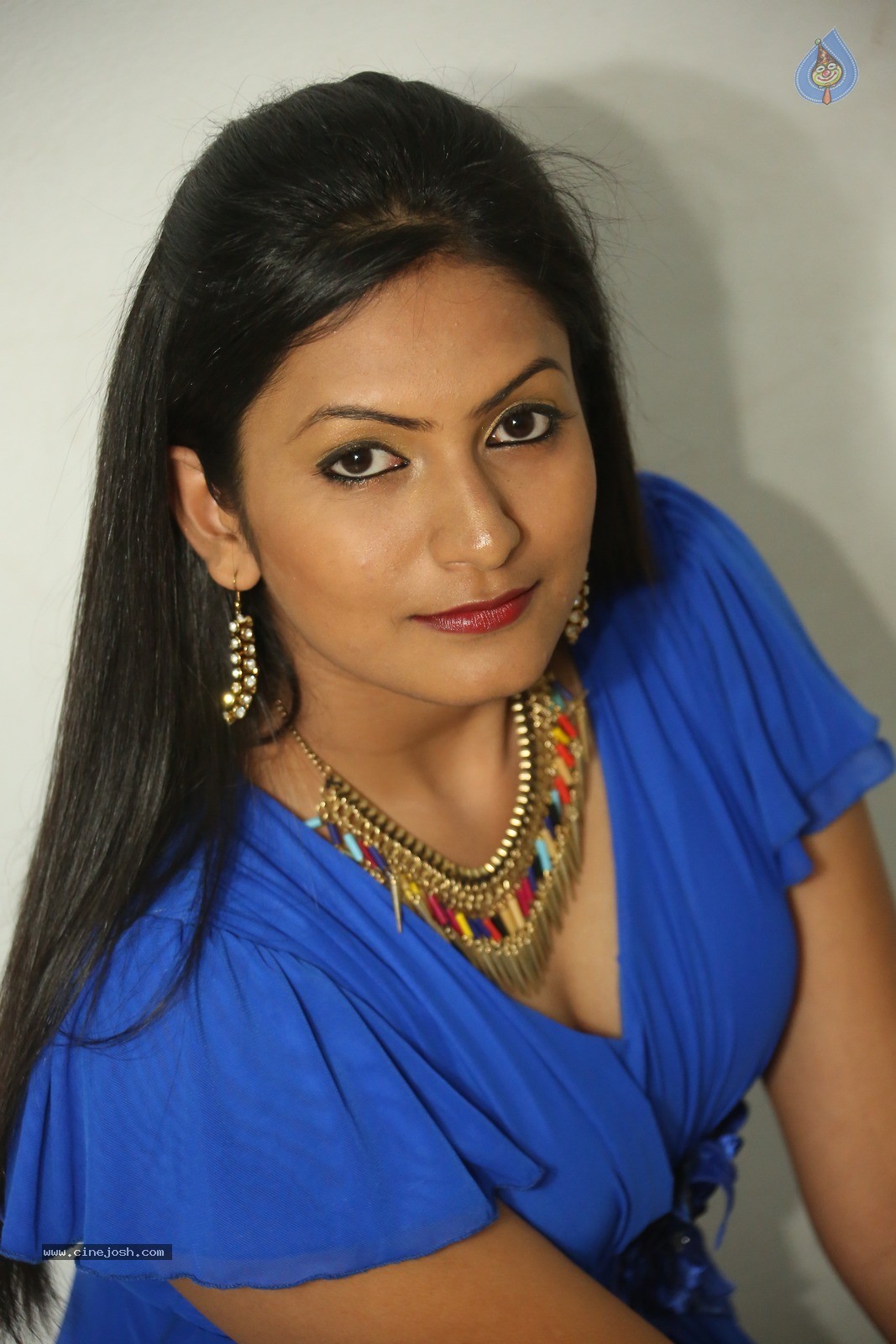 Swetha Varma Gallery - 19 / 42 photos