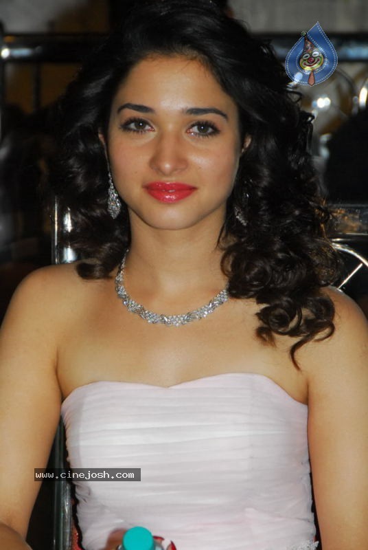 Tamanna at 100% Love Movie Audio Launch - 33 / 55 photos