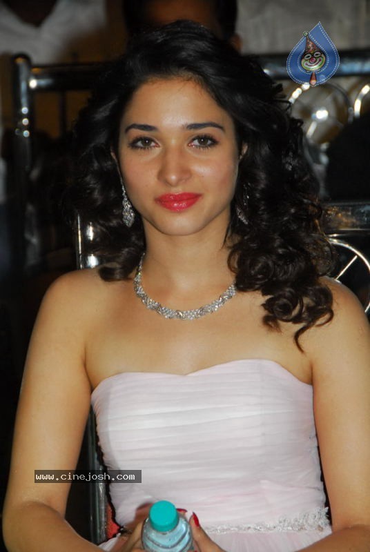 Tamanna at 100% Love Movie Audio Launch - 40 / 55 photos