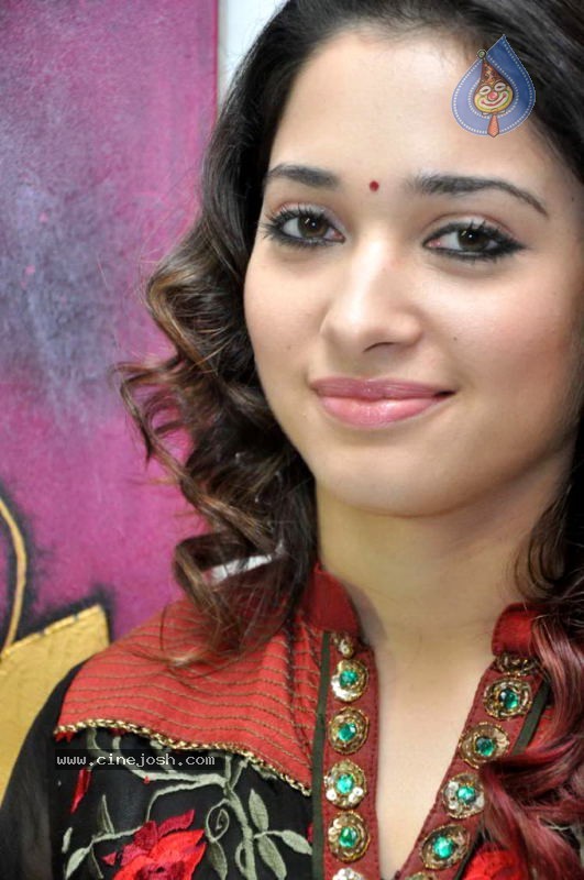 Tamanna at Badrinath 50 days Function - 28 / 46 photos