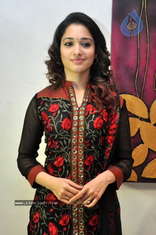 Tamanna at Badrinath 50 days Function - 29 / 46 photos