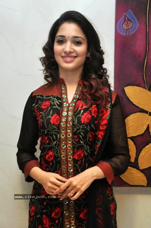 Tamanna at Badrinath 50 days Function - 31 / 46 photos