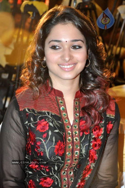 Tamanna at Badrinath 50 days Function - 32 / 46 photos