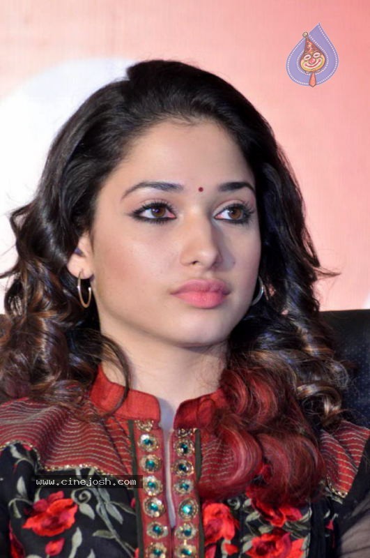Tamanna at Badrinath 50 days Function - 34 / 46 photos