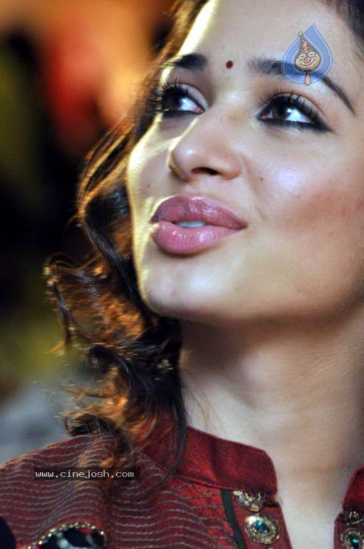 Tamanna at Badrinath 50 days Function - 35 / 46 photos