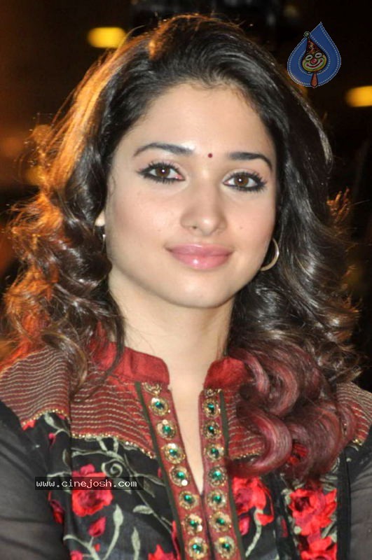 Tamanna at Badrinath 50 days Function - 39 / 46 photos