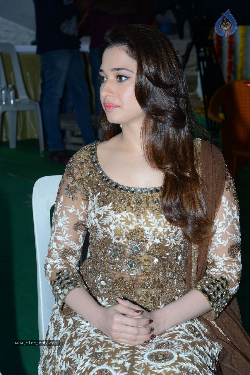 Tamanna at Bengal Tiger Movie Opening - 9 / 90 photos