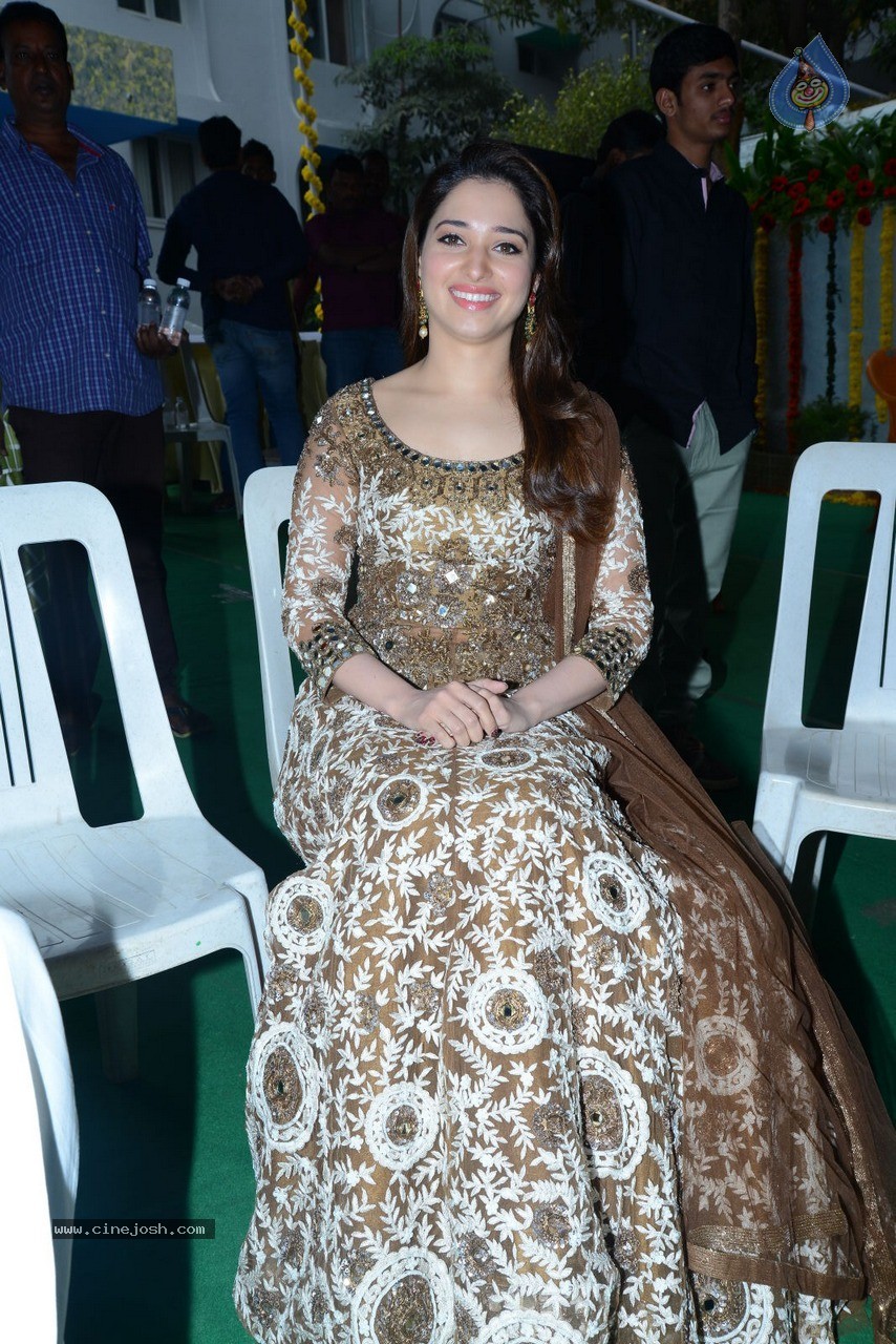 Tamanna at Bengal Tiger Movie Opening - 14 / 90 photos