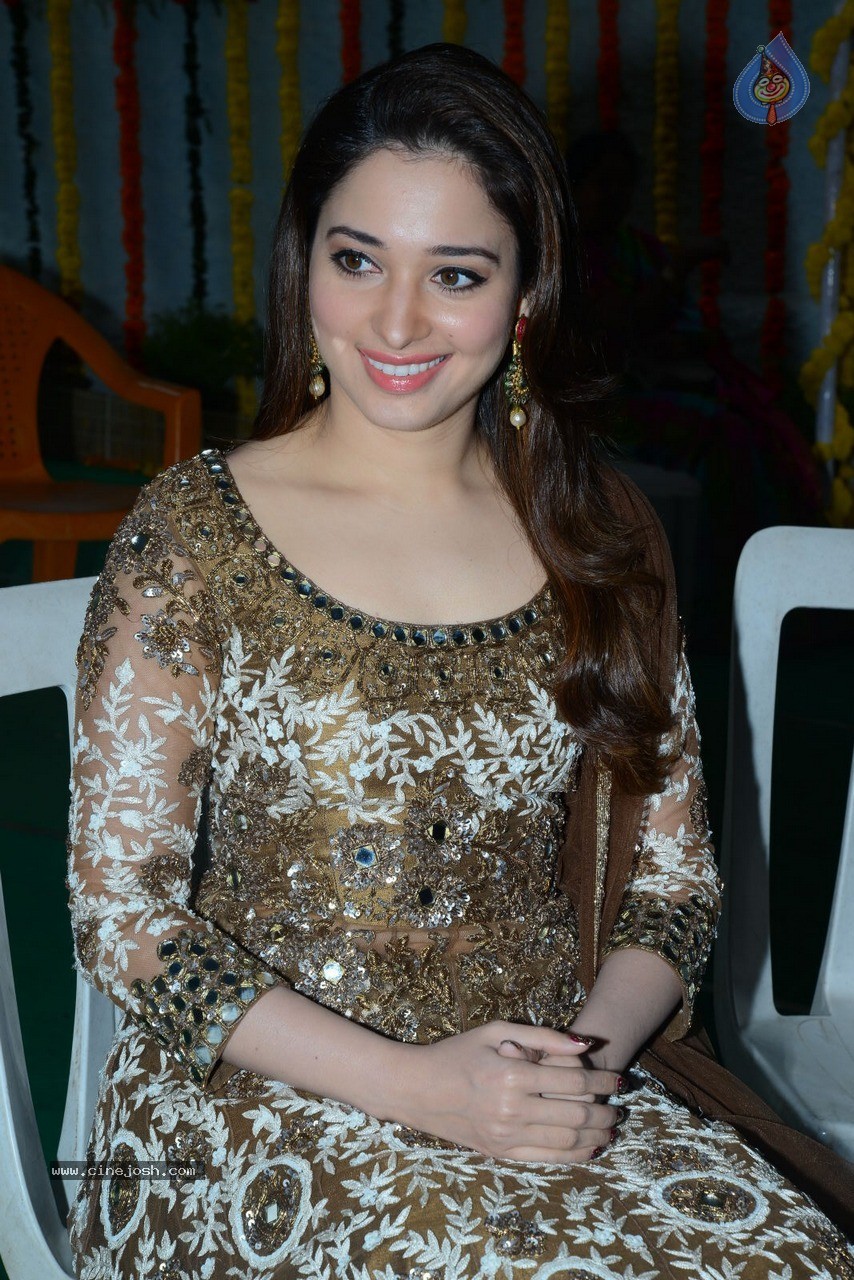 Tamanna at Bengal Tiger Movie Opening - 29 / 90 photos