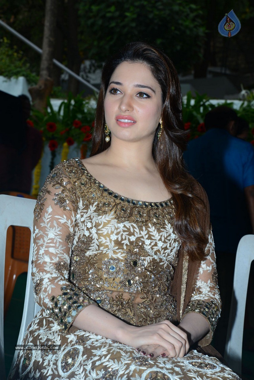 Tamanna at Bengal Tiger Movie Opening - 31 / 90 photos
