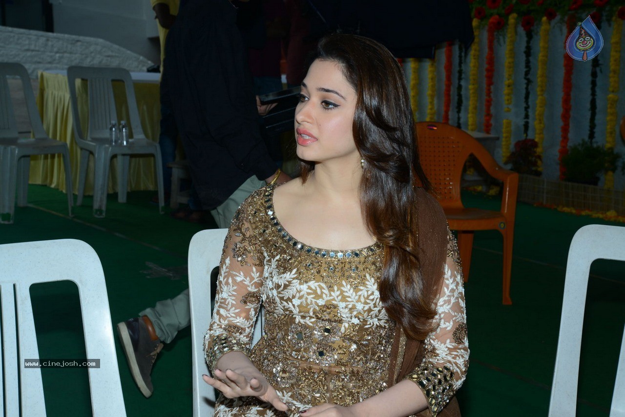 Tamanna at Bengal Tiger Movie Opening - 47 / 90 photos