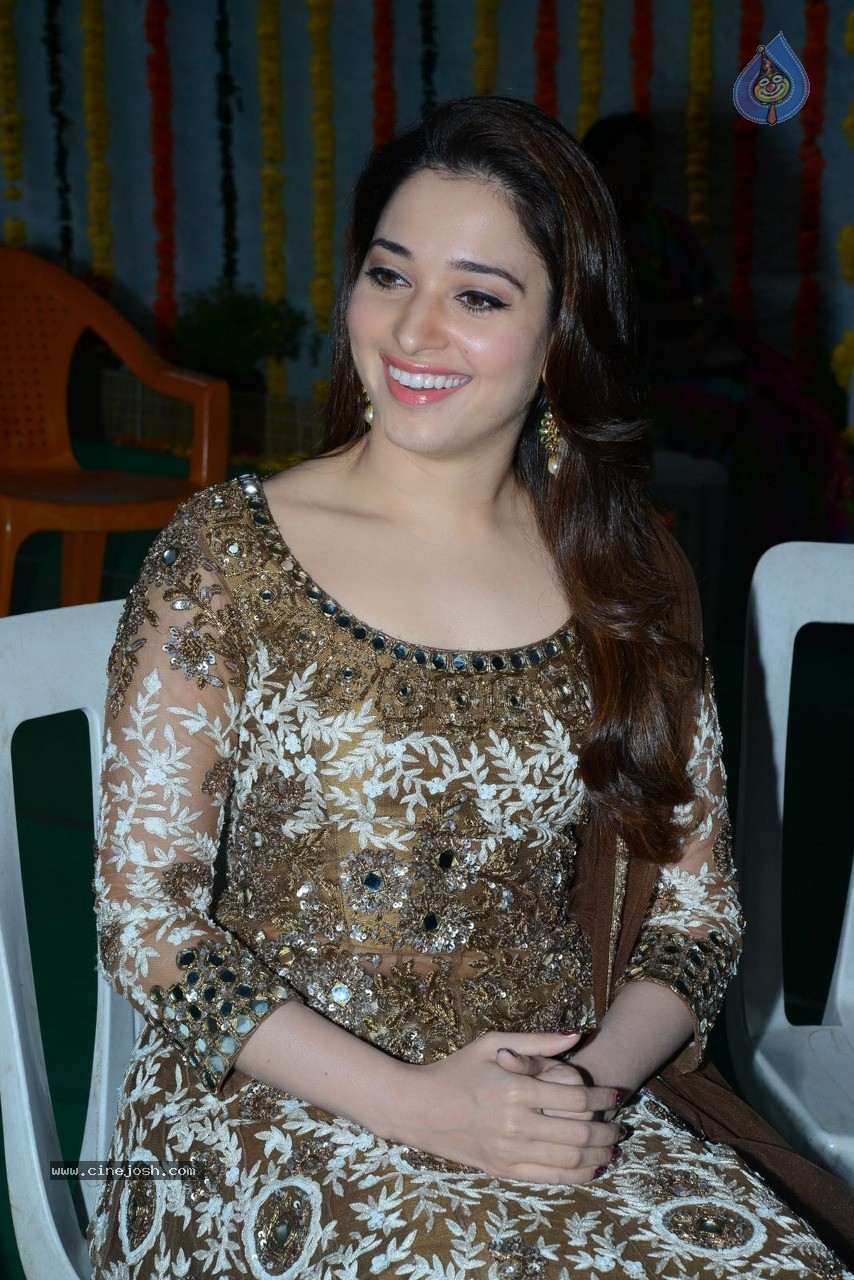 Tamanna at Bengal Tiger Movie Opening - 52 / 90 photos
