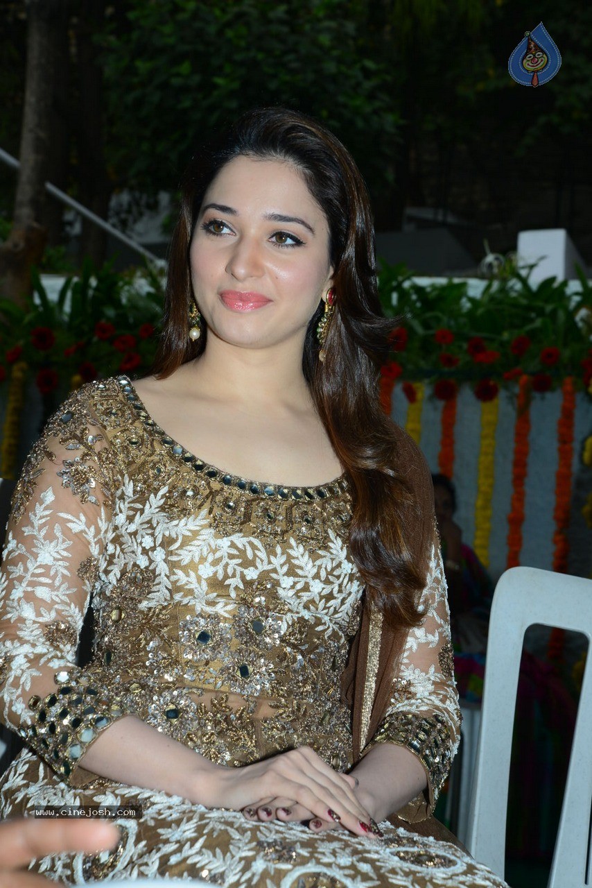 Tamanna at Bengal Tiger Movie Opening - 61 / 90 photos