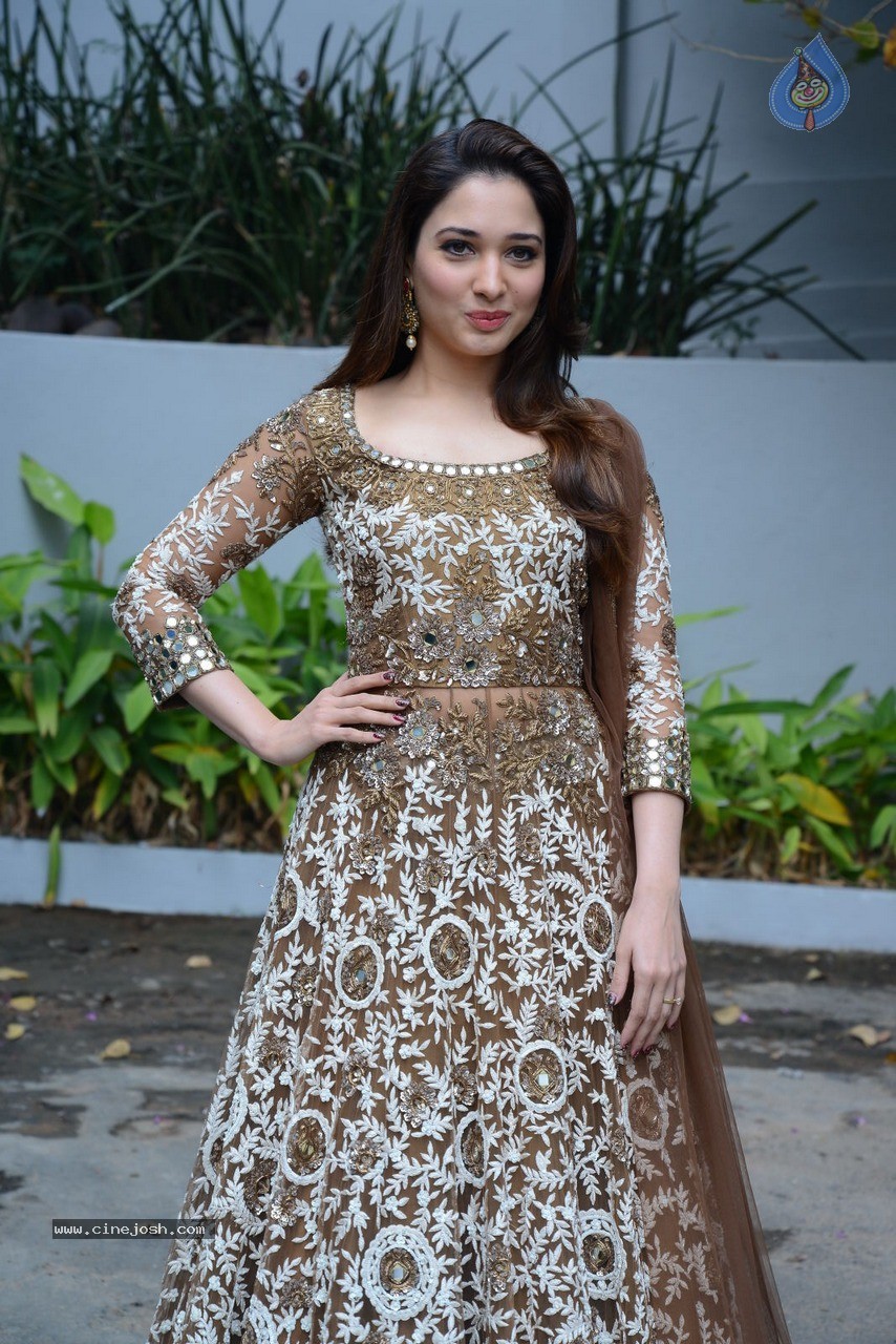Tamanna at Bengal Tiger Movie Opening - 64 / 90 photos