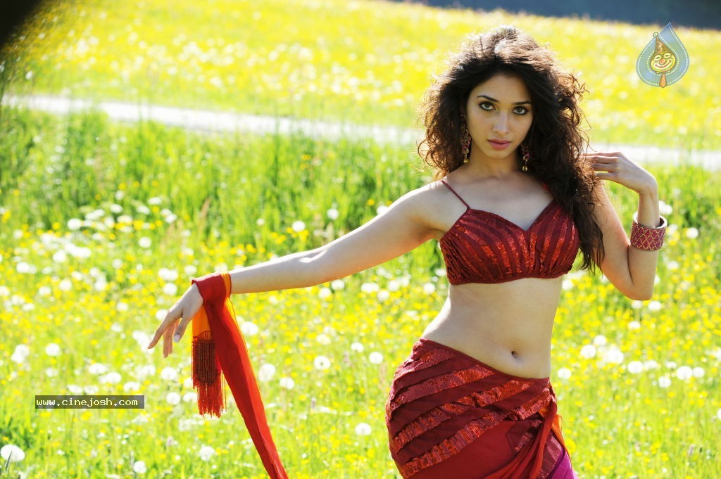 Tamanna High Resolution Stills - 44 / 82 photos